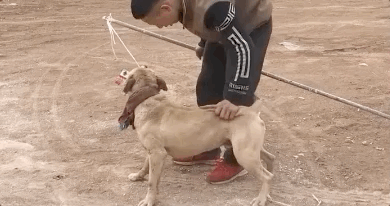 ����ҧס���ɿڣ���ס��Щ�����ܱ�������