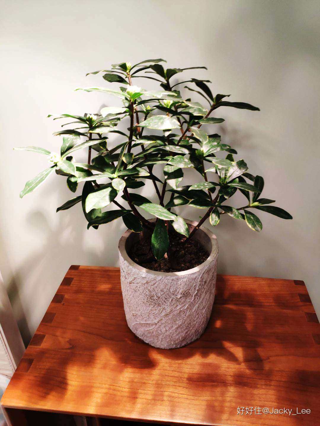 ������լ������ø߿Ƽ����������ʵļң�ͼ�Ĳ�ï���ɻ�������