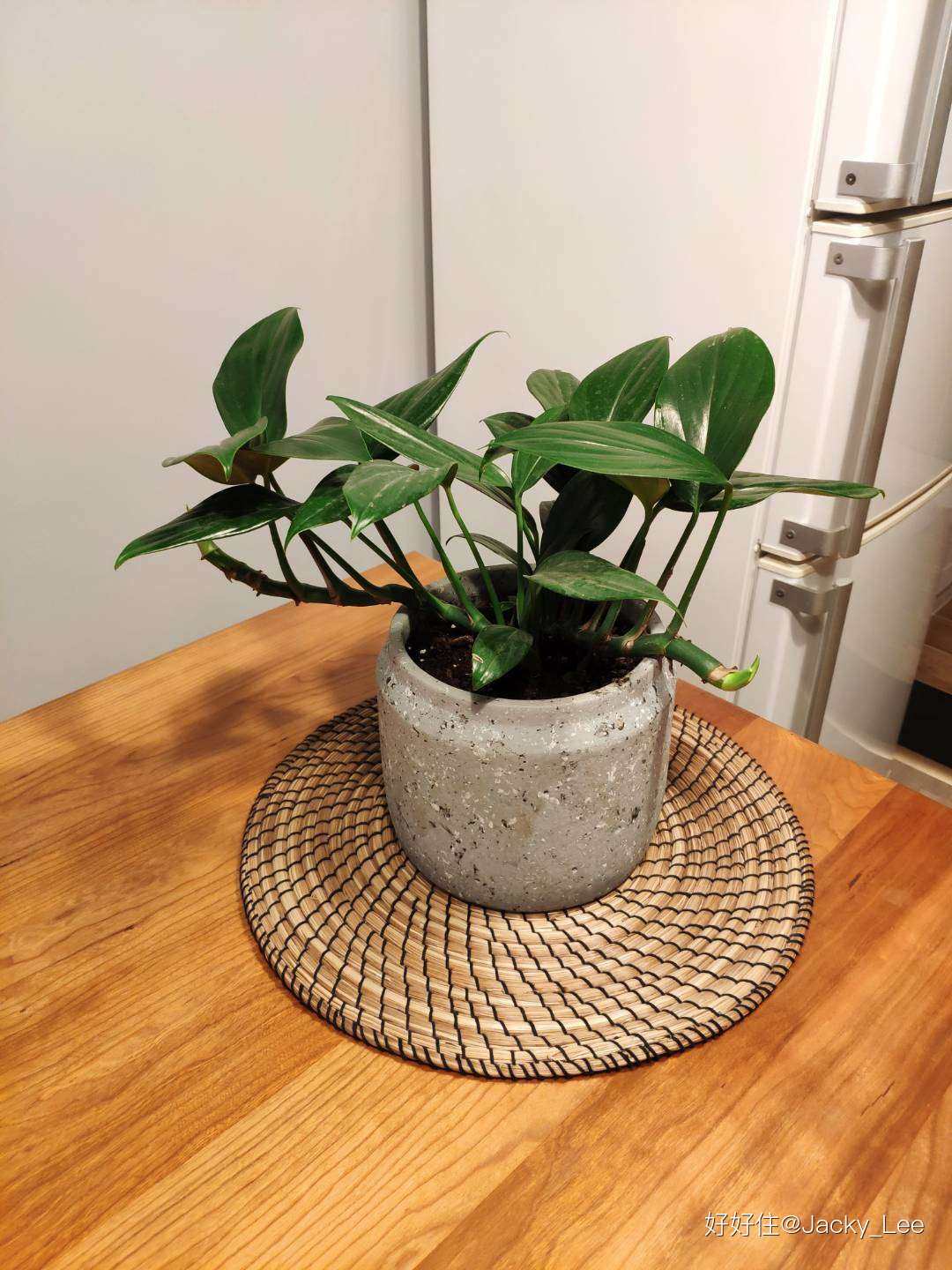 ������լ������ø߿Ƽ����������ʵļң�ͼ�Ĳ�ï���ɻ�������