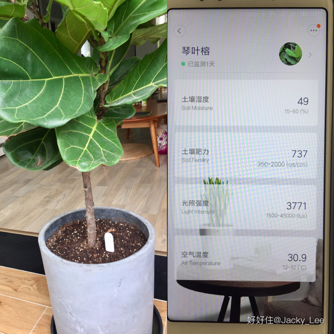 ������լ������ø߿Ƽ����������ʵļң�ͼ�Ĳ�ï���ɻ�������