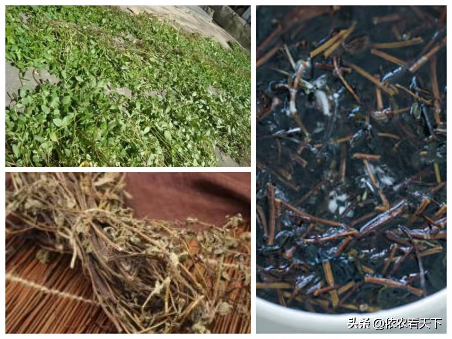 ��𲿷ֱ����˵����ʣ����ɲݣ����ա���ɶ�����ɲݡ����Ǹ�ɶ��