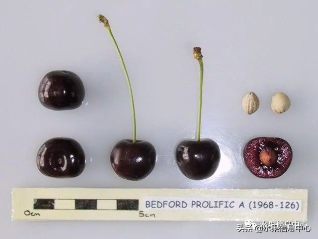 2021��ȫ������Ʒ�ֵ�˵����