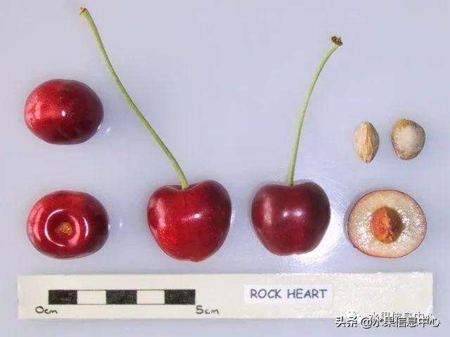 2021��ȫ������Ʒ�ֵ�˵����