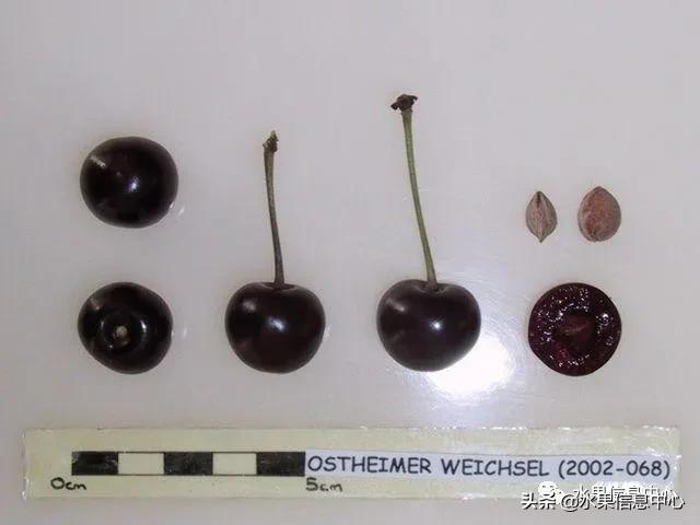 2021��ȫ������Ʒ�ֵ�˵����