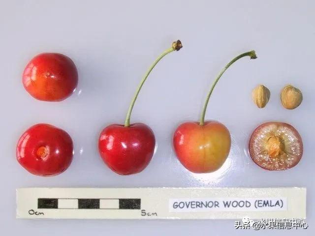 2021��ȫ������Ʒ�ֵ�˵����