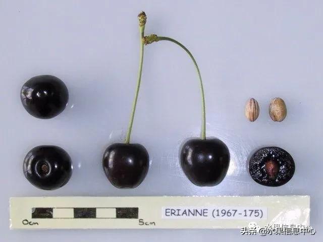 2021��ȫ������Ʒ�ֵ�˵����