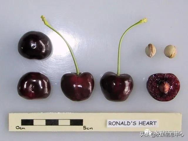 2021��ȫ������Ʒ�ֵ�˵����