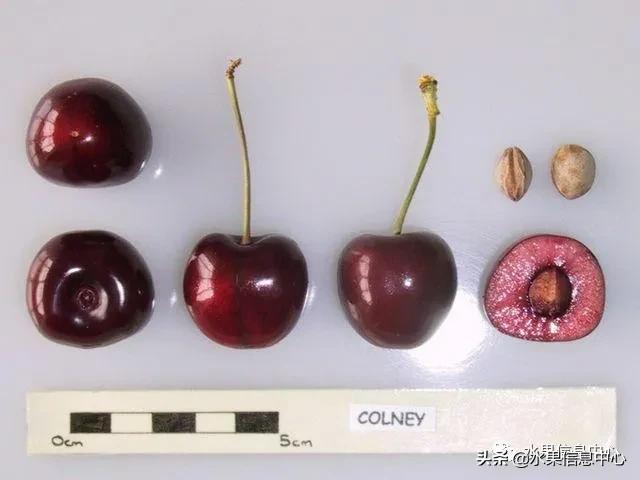 2021��ȫ������Ʒ�ֵ�˵����