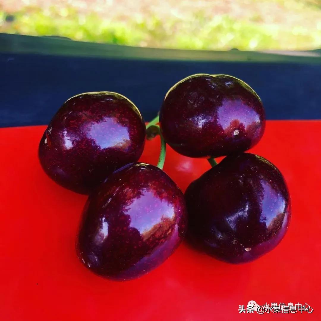 2021��ȫ������Ʒ�ֵ�˵����