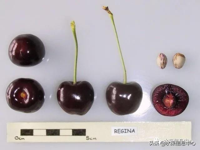 2021��ȫ������Ʒ�ֵ�˵����