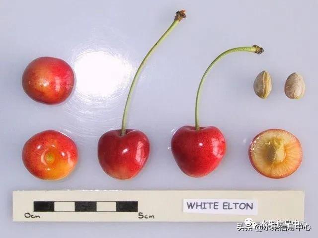 2021��ȫ������Ʒ�ֵ�˵����