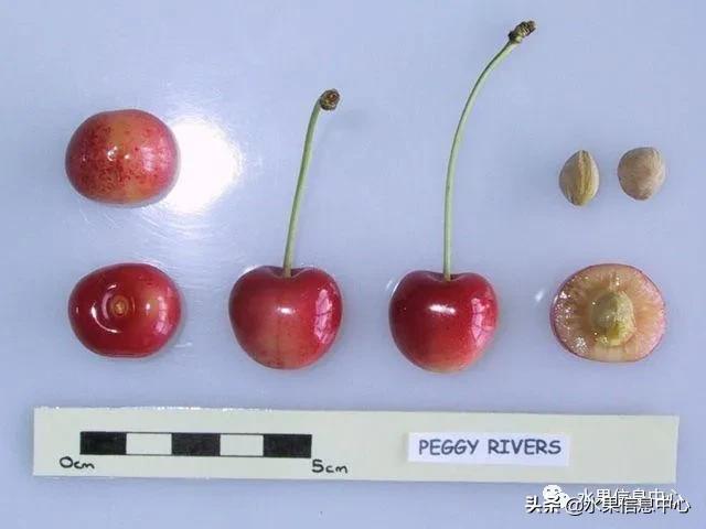 2021��ȫ������Ʒ�ֵ�˵����