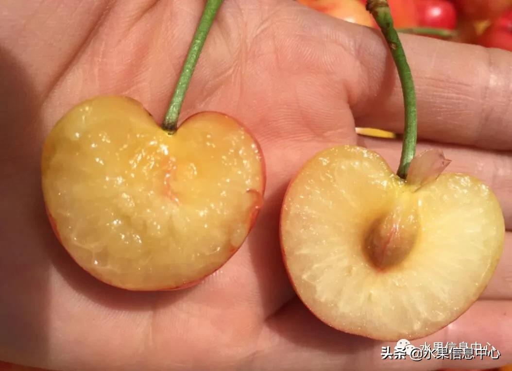 2021��ȫ������Ʒ�ֵ�˵����