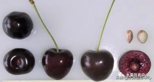 2021��ȫ������Ʒ�ֵ�˵����