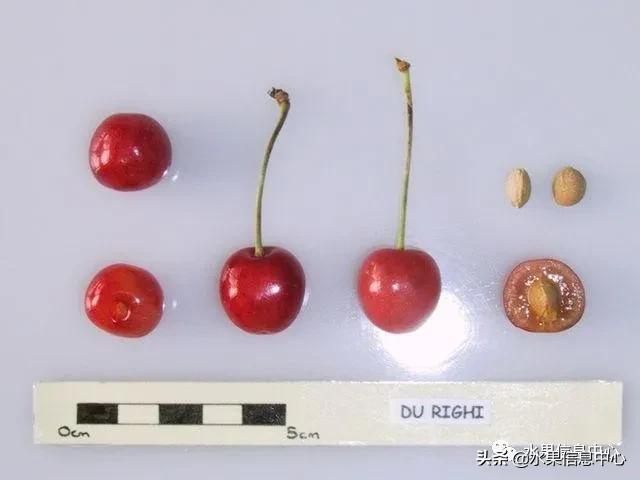 2021��ȫ������Ʒ�ֵ�˵����