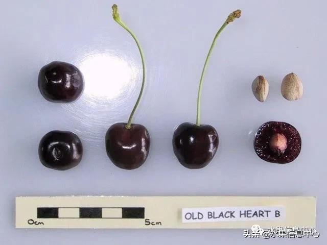 2021��ȫ������Ʒ�ֵ�˵����