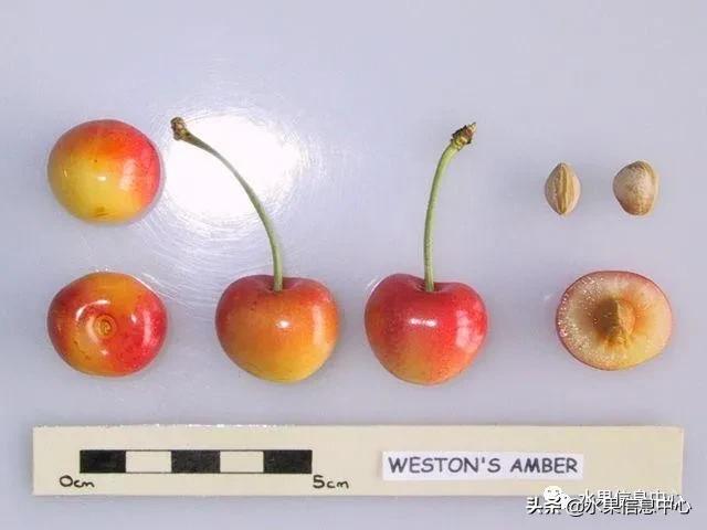 2021��ȫ������Ʒ�ֵ�˵����