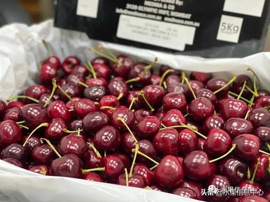 2021��ȫ������Ʒ�ֵ�˵����