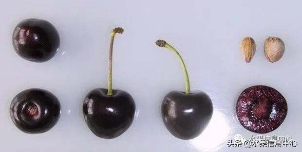 2021��ȫ������Ʒ�ֵ�˵����