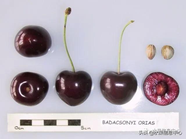 2021��ȫ������Ʒ�ֵ�˵����