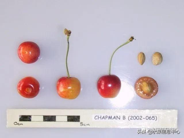 2021��ȫ������Ʒ�ֵ�˵����