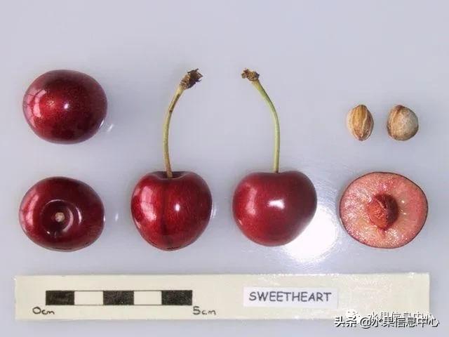 2021��ȫ������Ʒ�ֵ�˵����