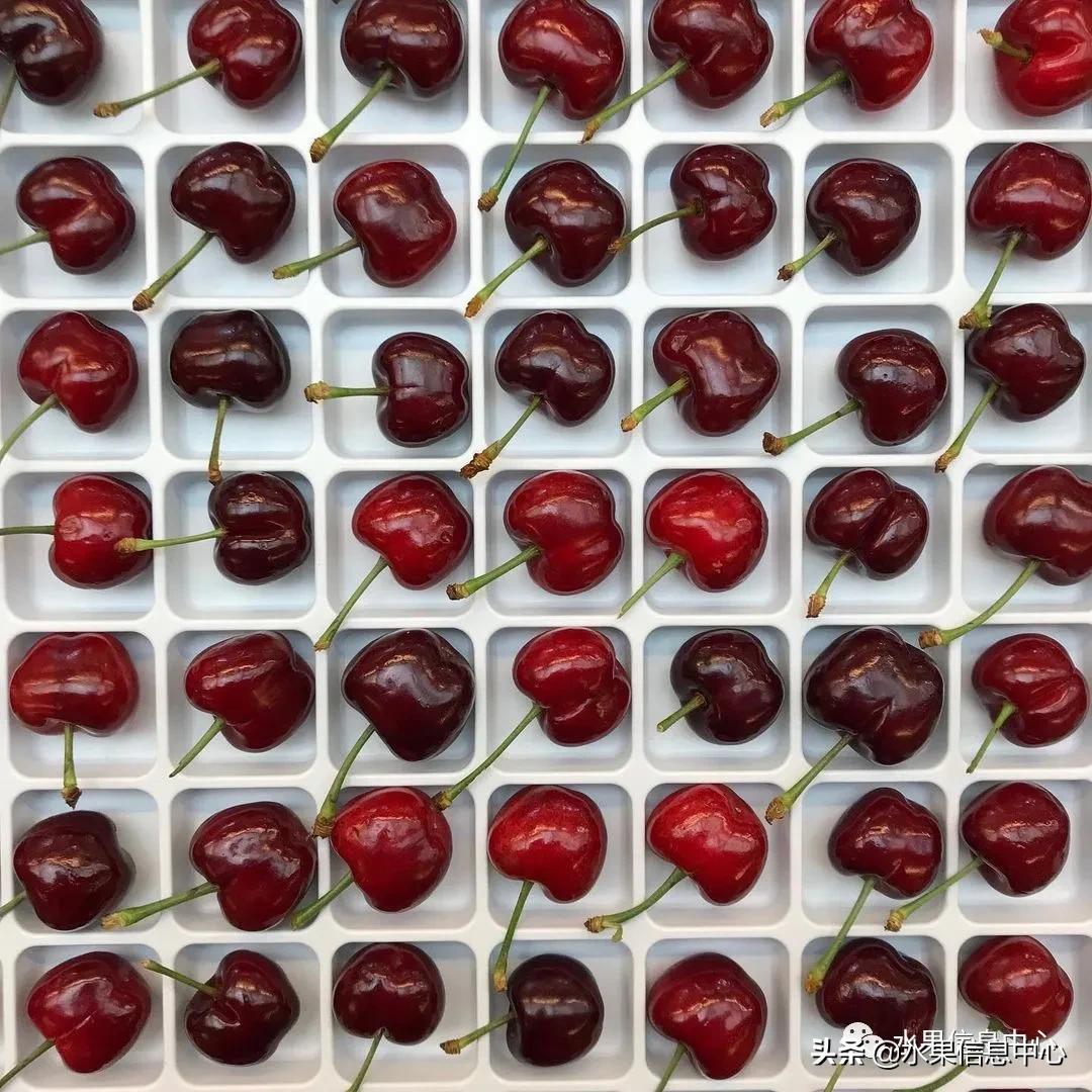 2021��ȫ������Ʒ�ֵ�˵����