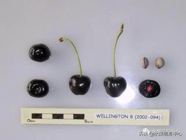 2021��ȫ������Ʒ�ֵ�˵����