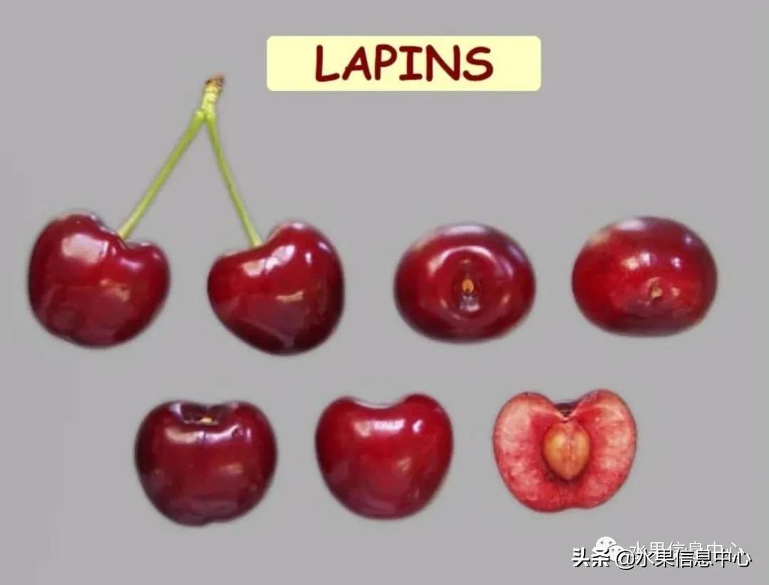 2021��ȫ������Ʒ�ֵ�˵����