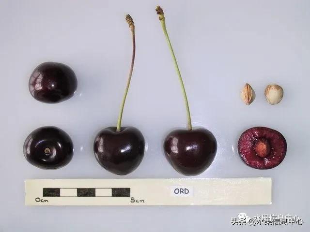 2021��ȫ������Ʒ�ֵ�˵����