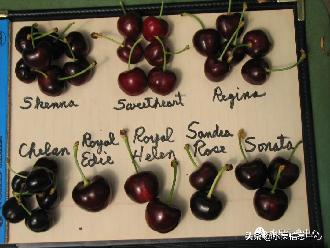 2021��ȫ������Ʒ�ֵ�˵����