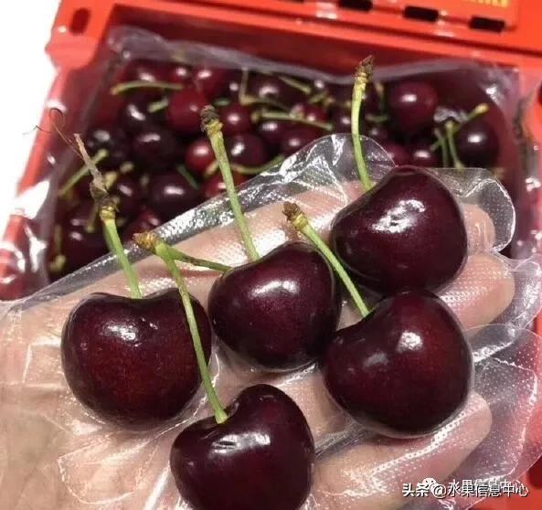 2021��ȫ������Ʒ�ֵ�˵����