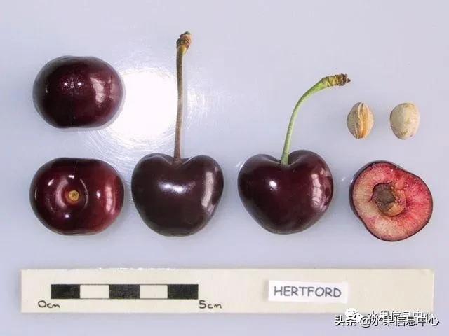 2021��ȫ������Ʒ�ֵ�˵����