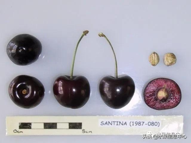 2021��ȫ������Ʒ�ֵ�˵����