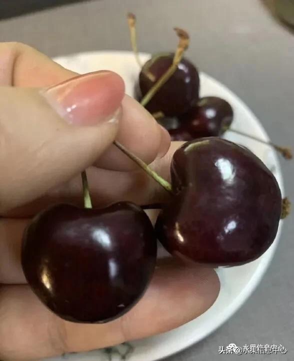 2021��ȫ������Ʒ�ֵ�˵����