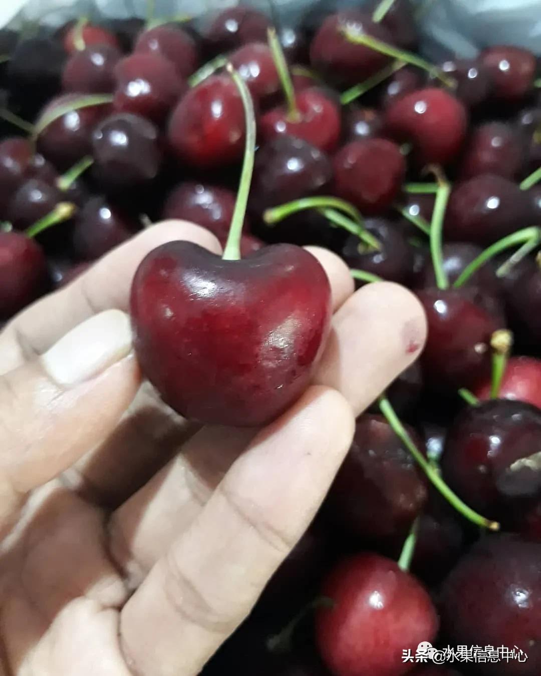 2021��ȫ������Ʒ�ֵ�˵����