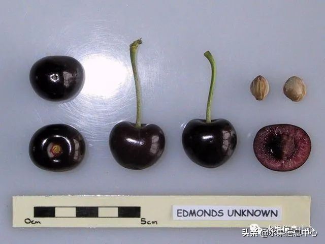 2021��ȫ������Ʒ�ֵ�˵����