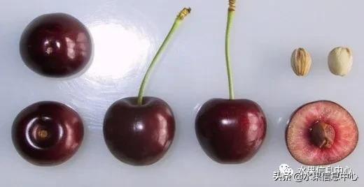 2021��ȫ������Ʒ�ֵ�˵����