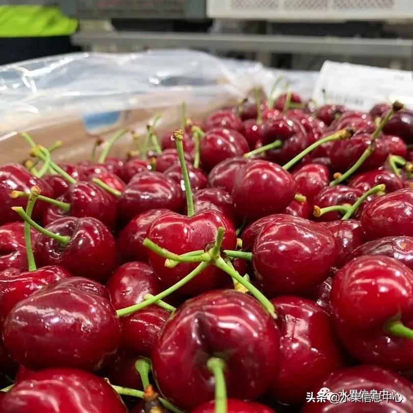 2021��ȫ������Ʒ�ֵ�˵����