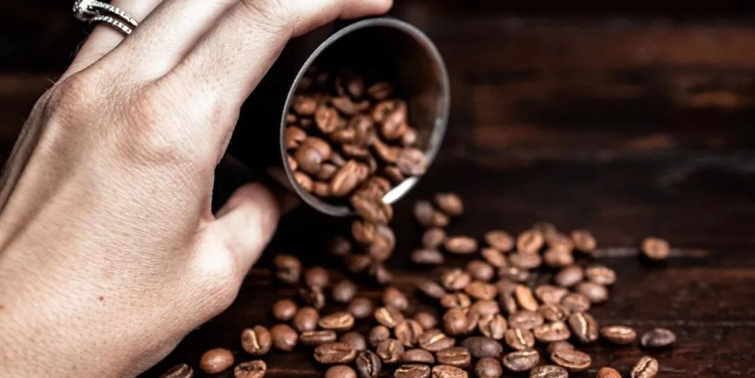 �����ӽ���������ȹݲ˵�