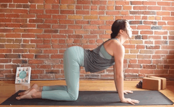 40��󣬳���һ�������ʹ����6�������������������춼����