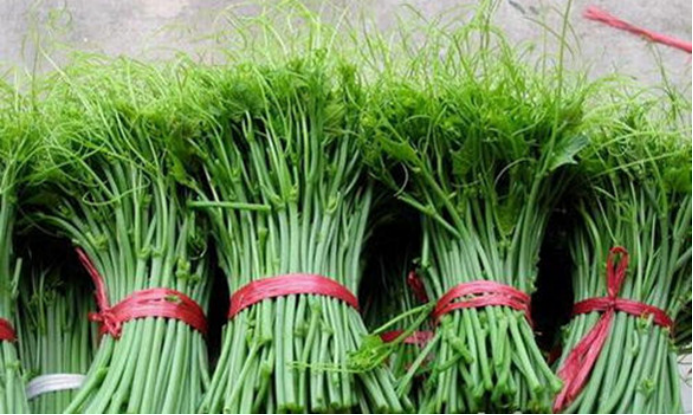 ������Ұ�ˣ�����һ����Ұ�˴�ͼ��������������ʶ��18��Ұ��