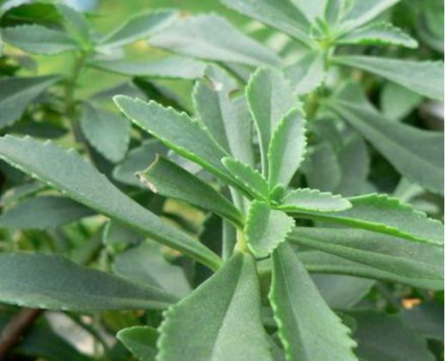 ������Ұ�ˣ�����һ����Ұ�˴�ͼ��������������ʶ��18��Ұ��