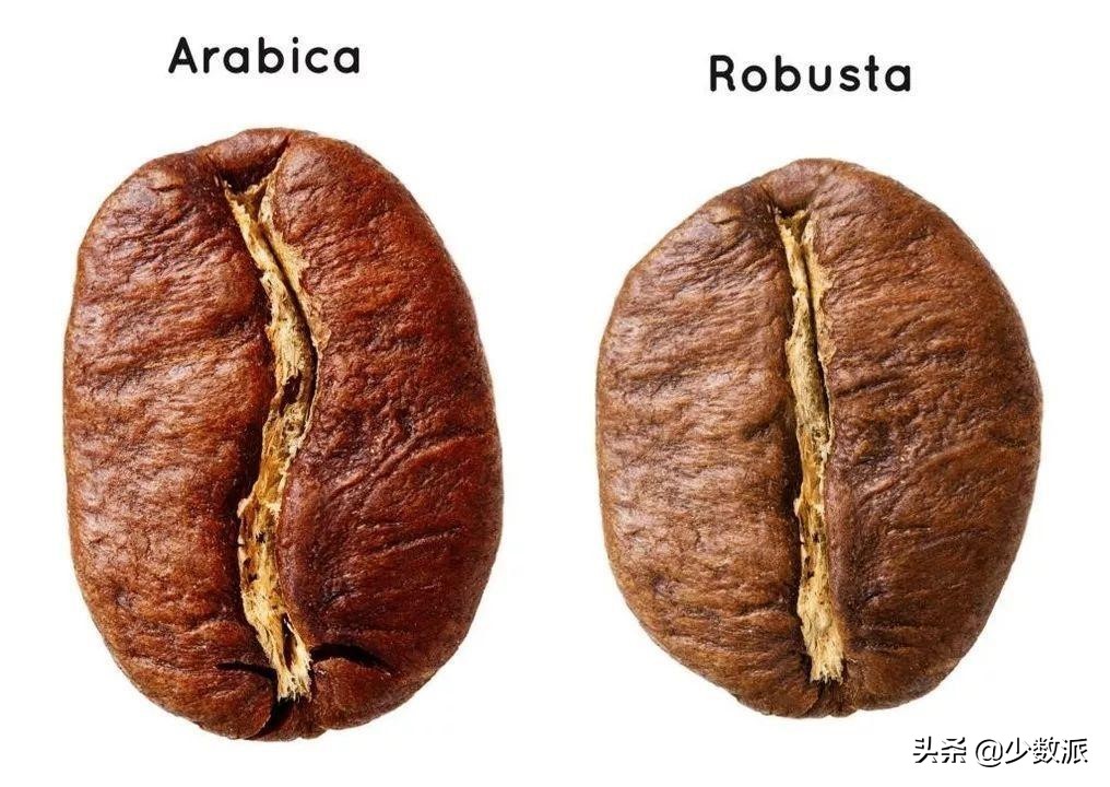 д��С�׵ľ�Ʒ�������ָ��