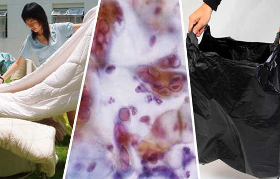 ɹ���Ӻ�Ϊ���С�̫��ζ���������汻�����ˣ��·���������Ĺ���