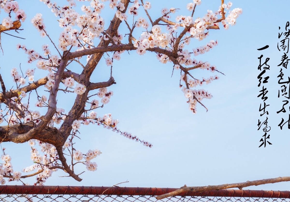 �ӣ�һ�ּ��䡰��������ˮ��