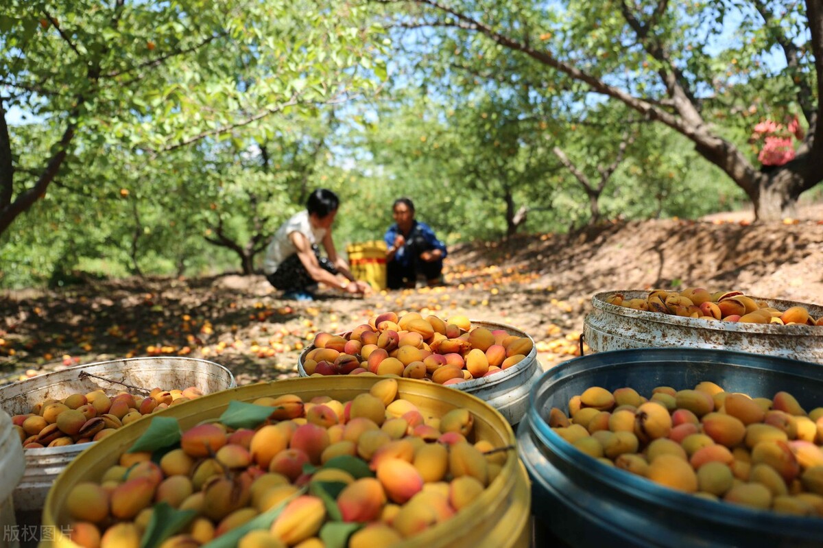 �ӣ�һ�ּ��䡰��������ˮ��