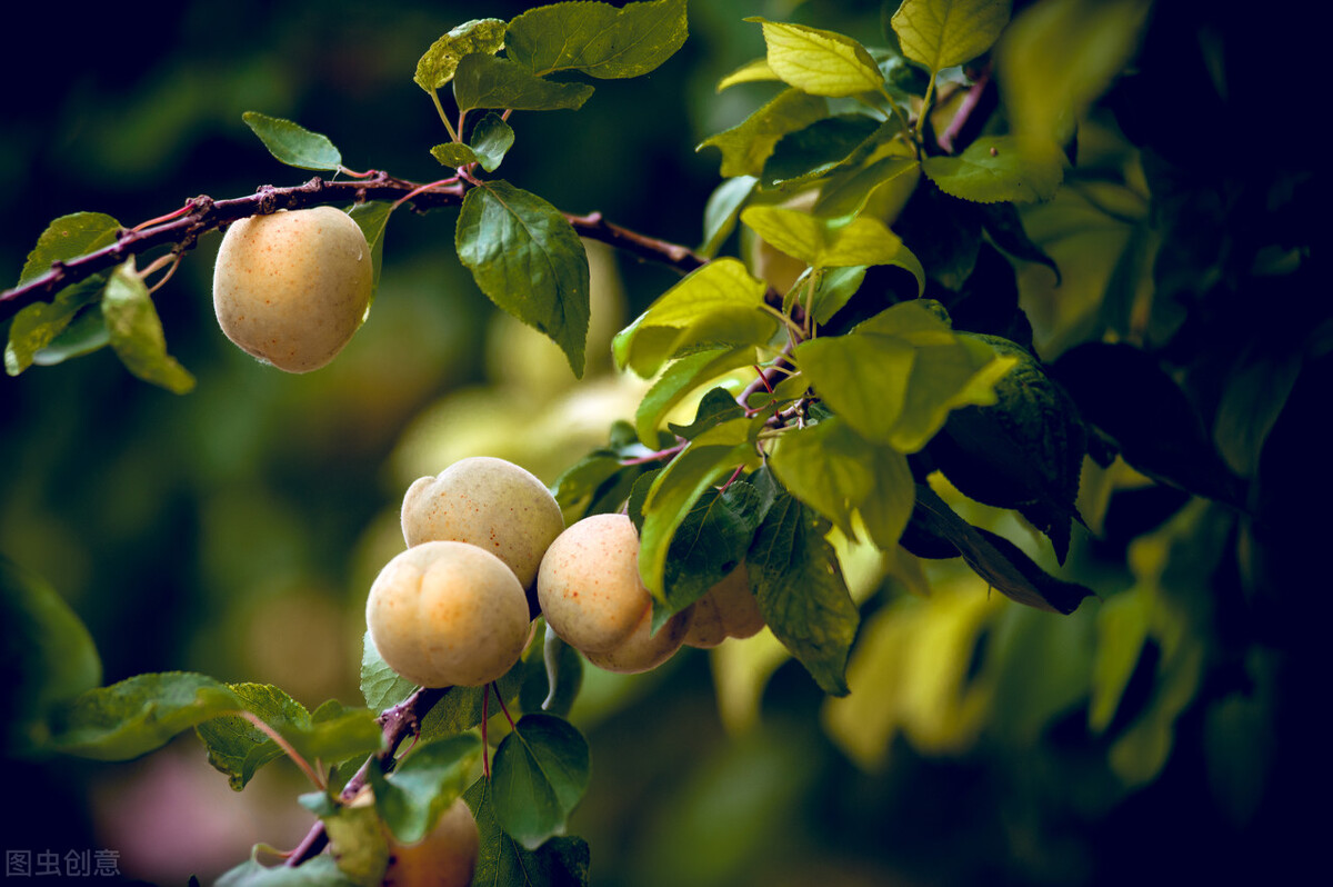 �ӣ�һ�ּ��䡰��������ˮ��