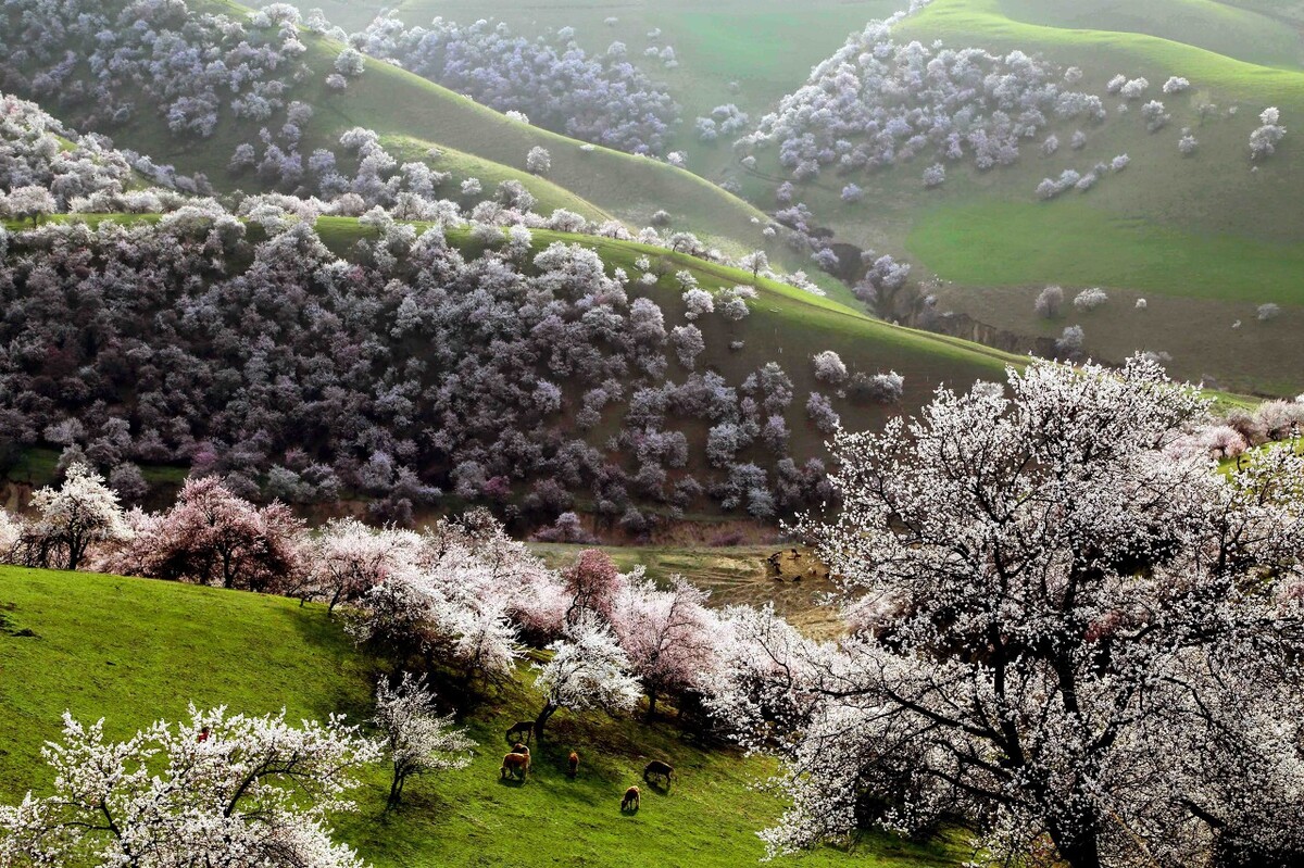 �ӣ�һ�ּ��䡰��������ˮ��