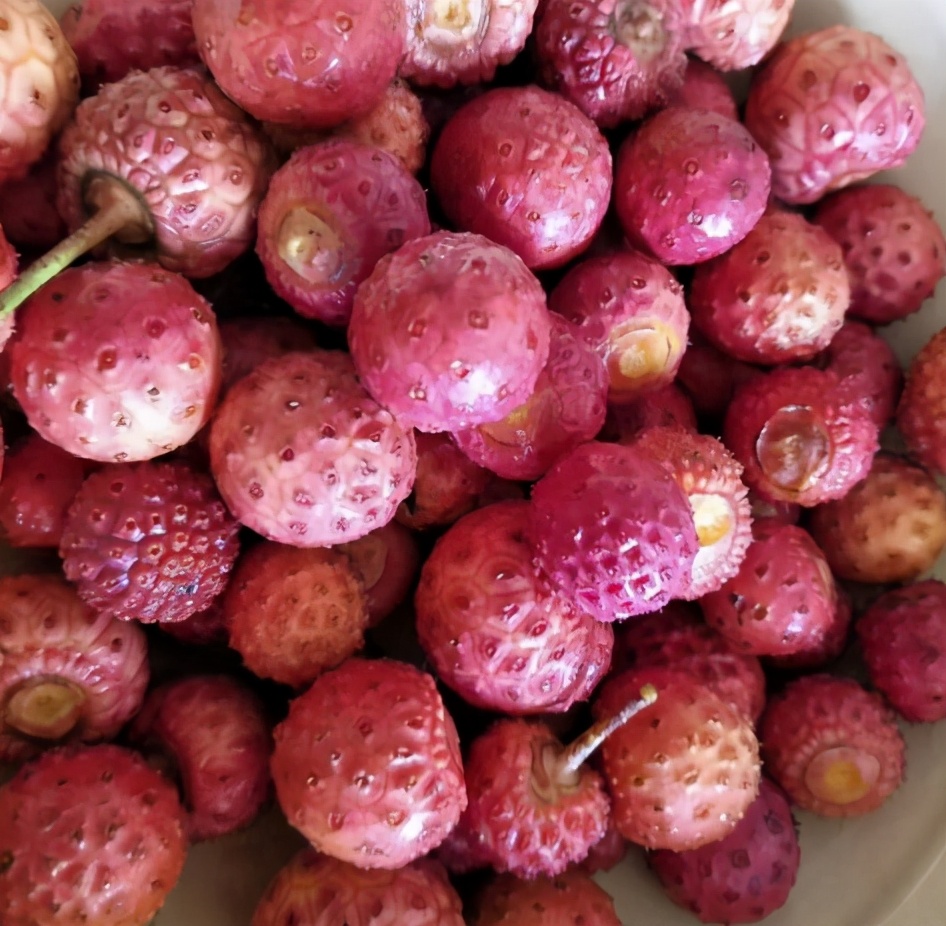 ������֦��ũ���޵�ˮ���ԣ�����ܶ���û��������������15Ԫ1��